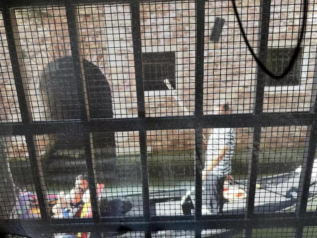 ונציה Mascherone Apartment מראה חיצוני תמונה